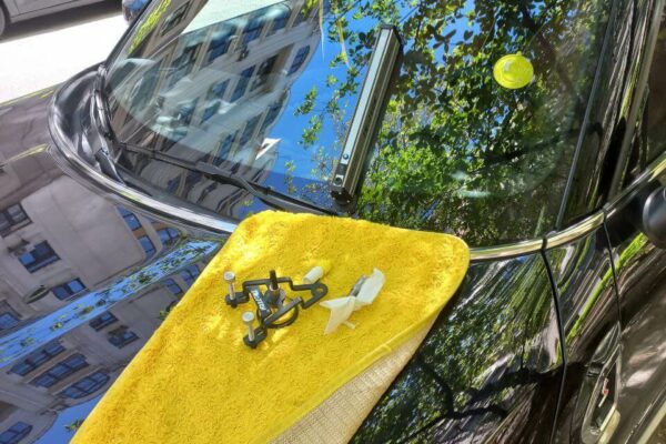 Видалення тріщин на лобовому склі: ціна та поради для киян